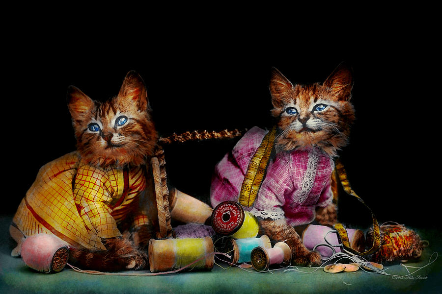 Still Life Photograph - Cat - Mischief makers 1915 by Mike Savad