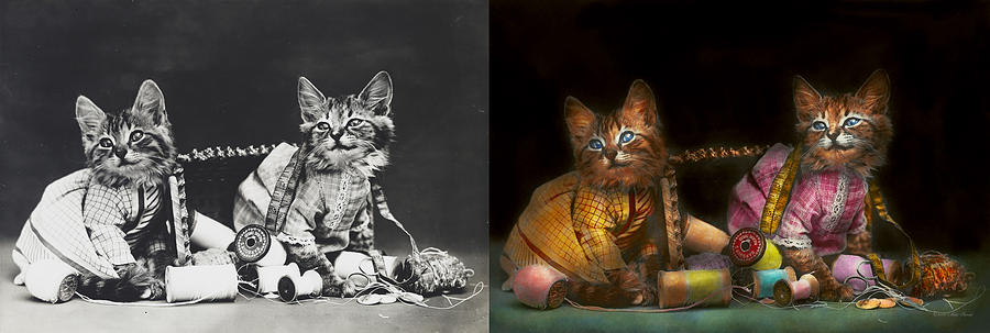 Cat - Mischief makers 1915 - Side by side Photograph by Mike Savad