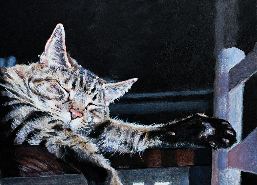 Cat Nap Painting by Christopher Reid