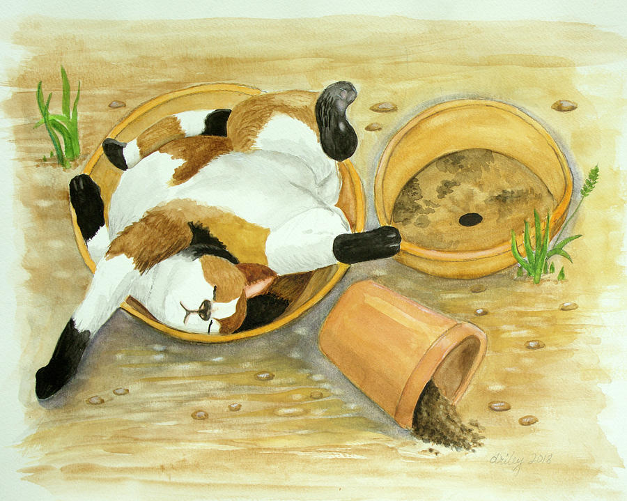Animal Painting - Cat Nap by Dorothy Riley