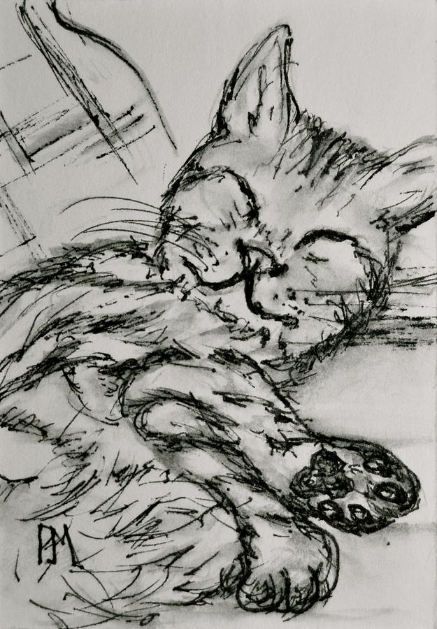 Cat Nap II Painting by Pete Maier