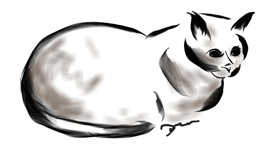 Cat Digital Art - Cat napping by Dreana Stenz