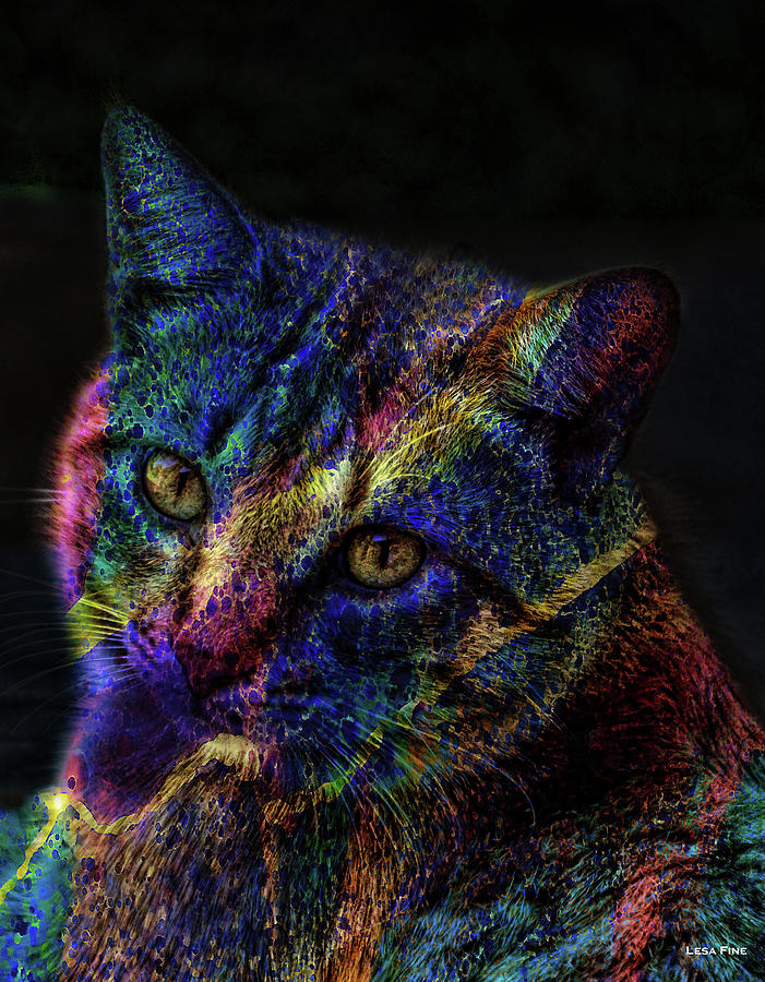 Cat Of Many Colors Mixed Media by Lesa Fine
