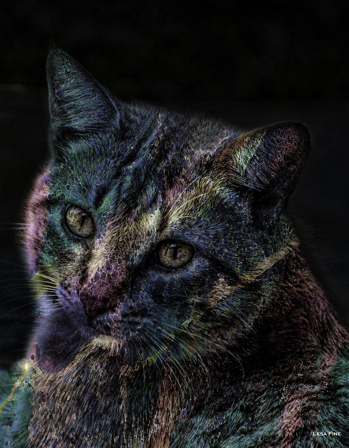 Cool Mixed Media - Cat Of Many Colors Soft by Lesa Fine