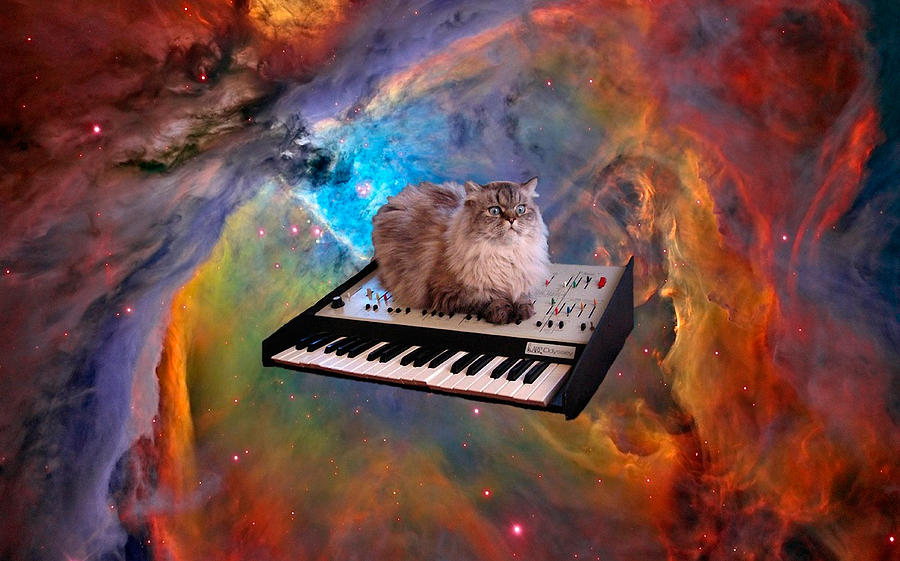 Cat Digital Art - Cat on a Keyboard in Space                                                       by Johnnie Art