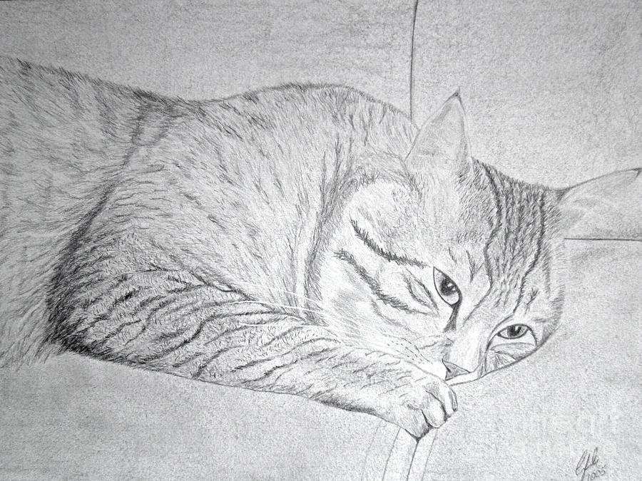 Cat on couch Drawing by Cybele Chaves