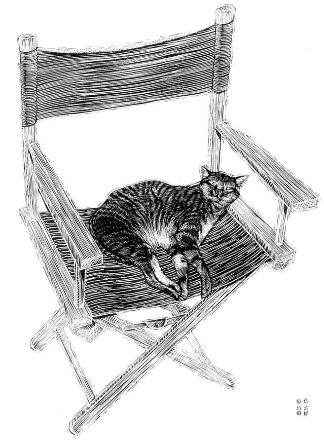 Cat on Director Chair Drawing by Jim Harris
