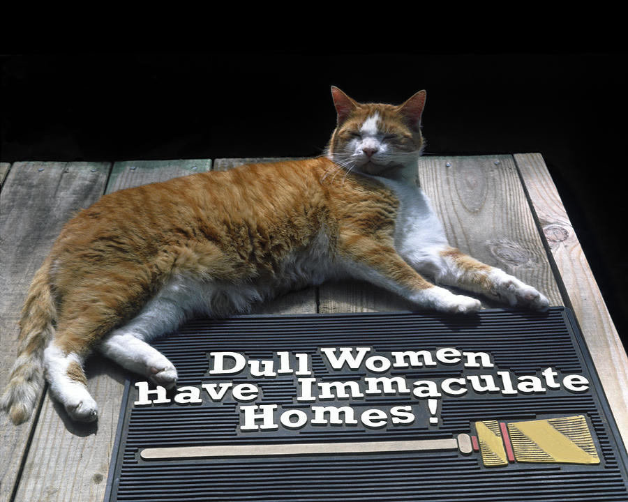Cat on Dull Women Mat Photograph by Sally Weigand