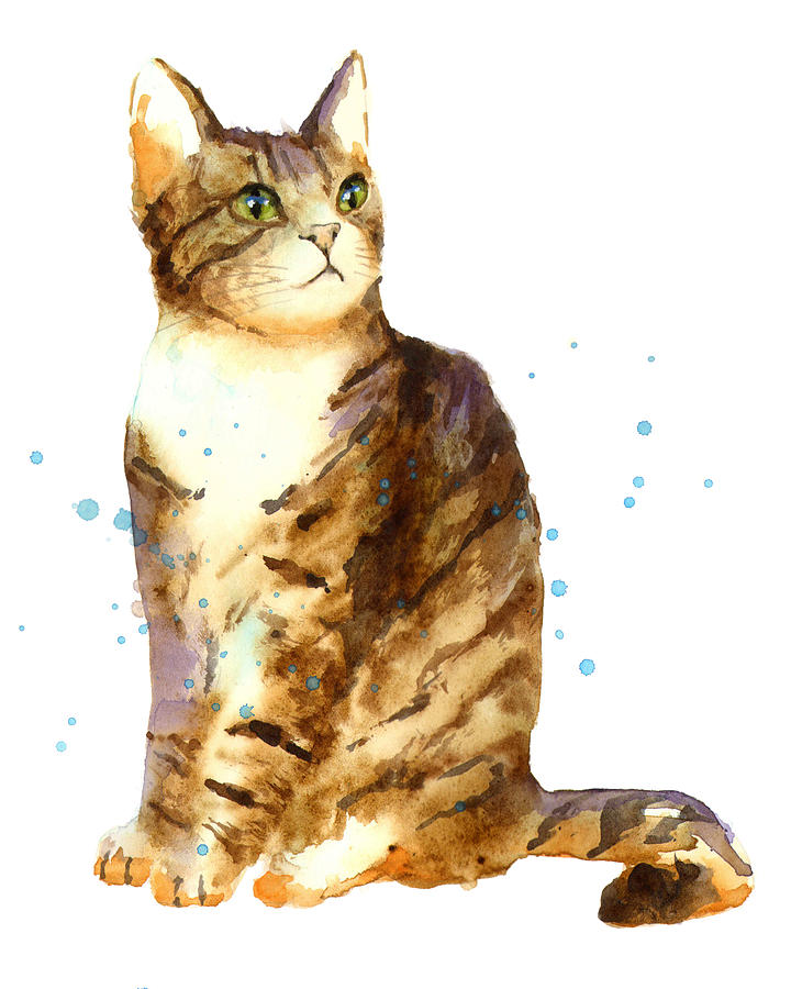 Cat Painting - Cat Painting by Alison Fennell