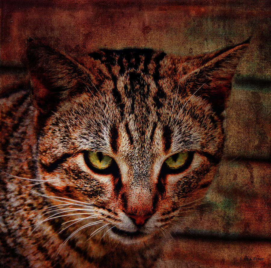 Cat Portrait FIERCE Photograph by Lesa Fine
