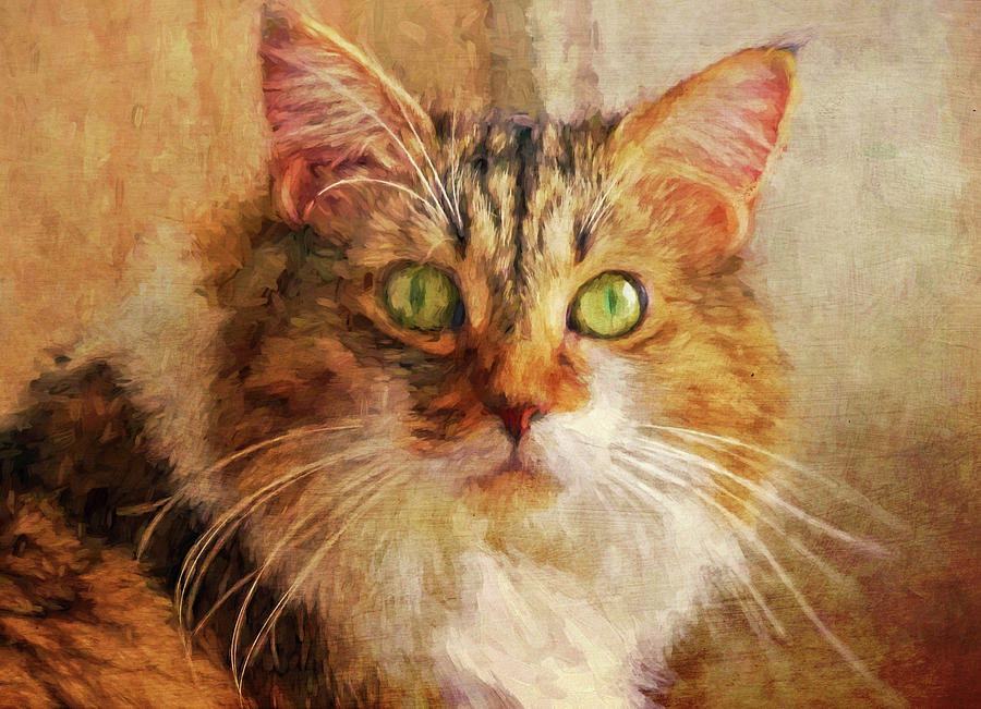 Cat Portrait - Pretty Girl Photograph by HH Photography of Florida