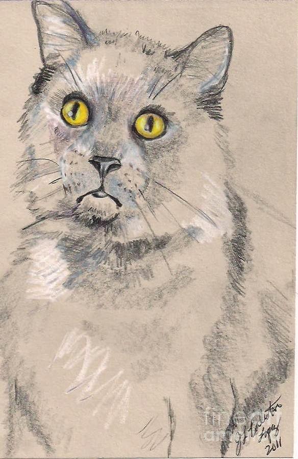 Cat Portrait Quick Sketch