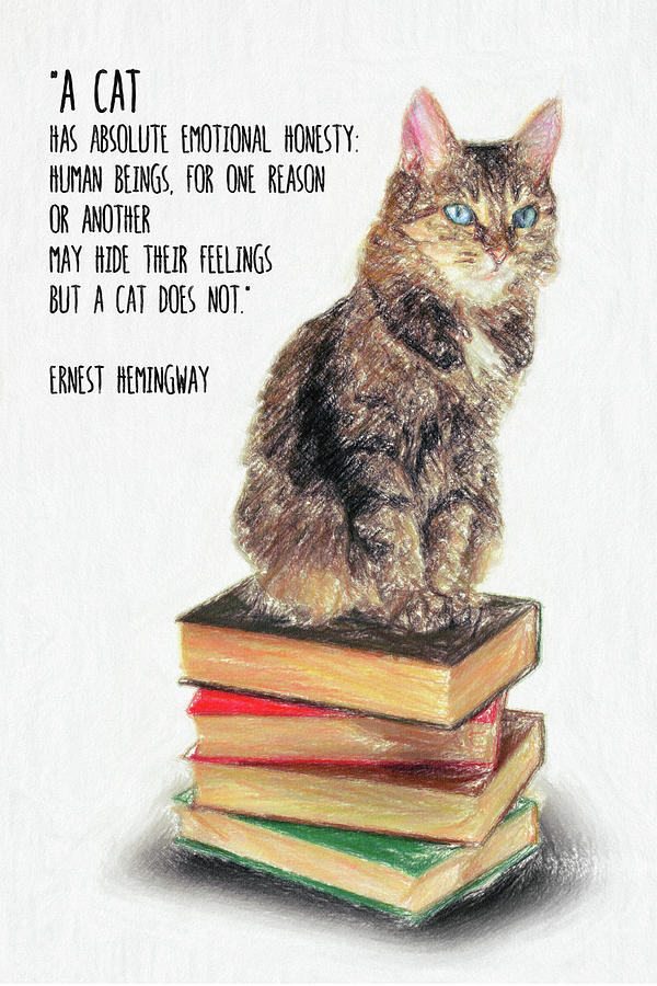 Cat Quote by Ernest Hemingway by Zapista OU Cat Quote by Ernest Hemingway by Zapista OU