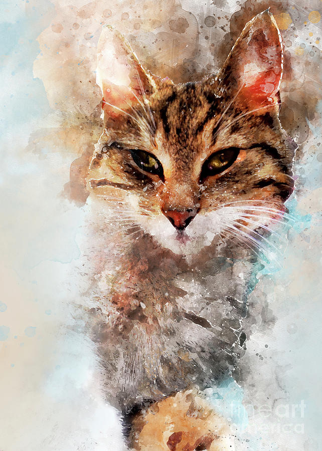 Cat Saba art Digital Art by Justyna Jaszke JBJart