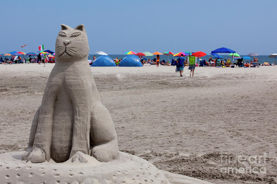 Cat Sand Sculpture Photograph by Anthony Totah