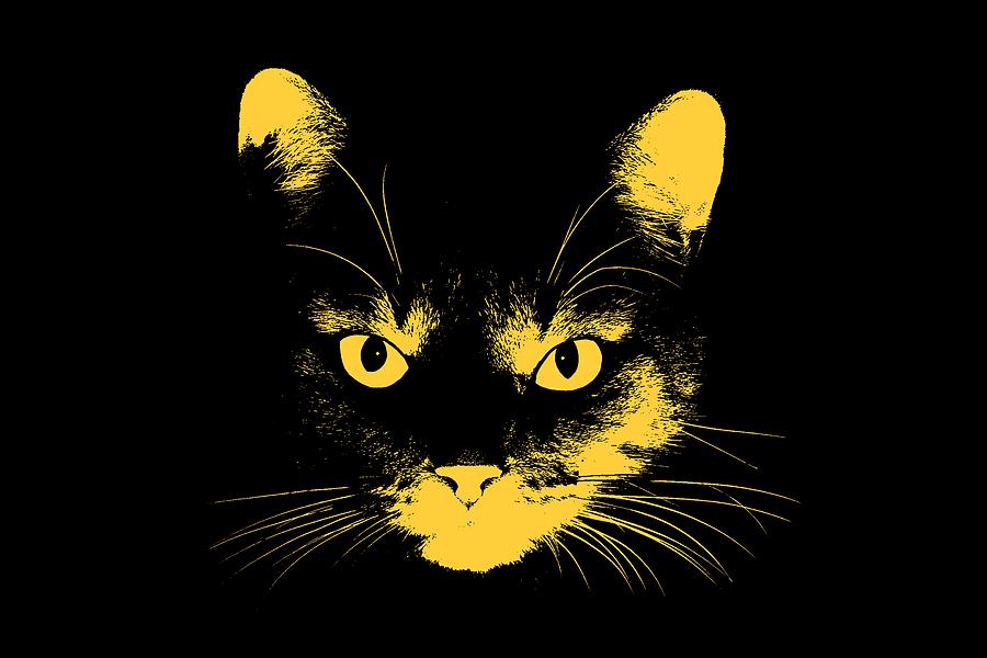 Halloween Digital Art - Cat Stare with Transparent Background by John Haldane