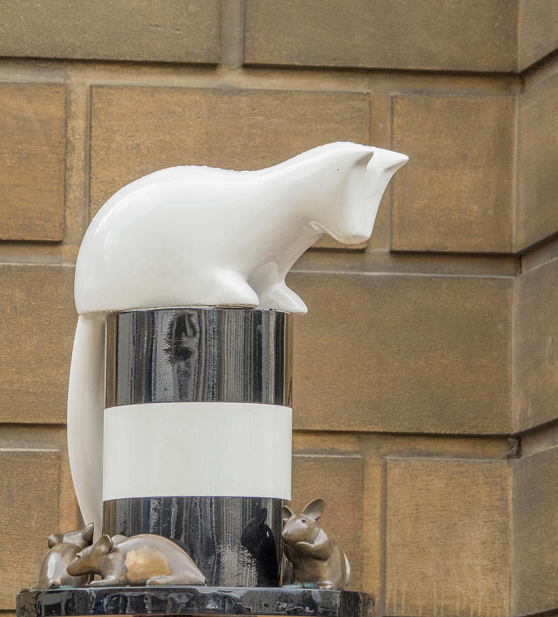 Cat Statue Photograph by Jean Noren