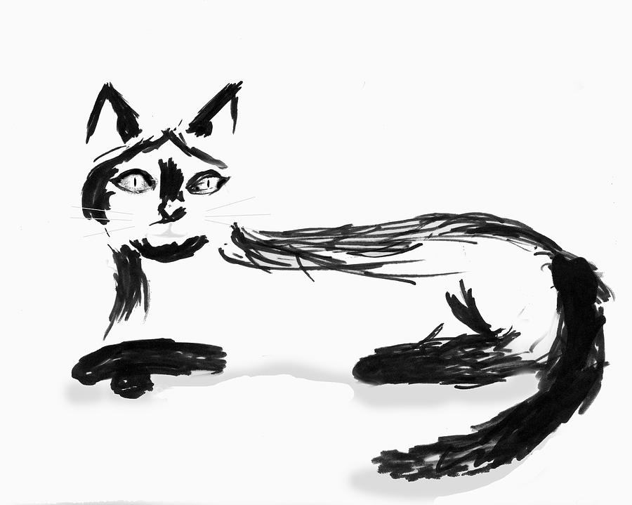 Cat Drawing by Steve Karol
