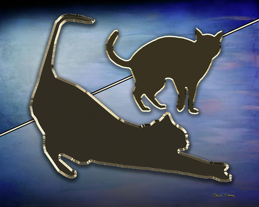 Cat Stretching  Digital Art by Chuck Staley