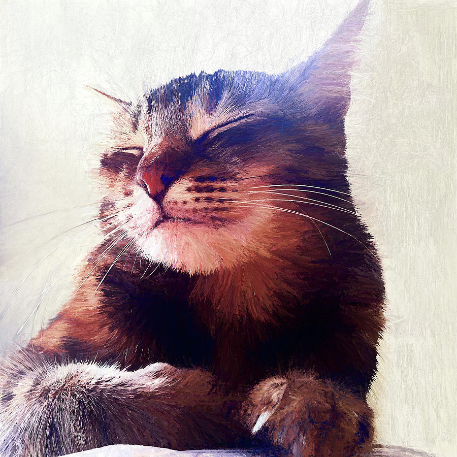 Cat Mixed Media - Cat That Got The Cream by Helen White Cat Mixed Media - Cat That Got The Cream by Helen White