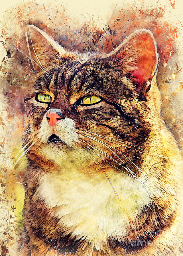Cat Toshi Painting by Justyna Jaszke JBJart