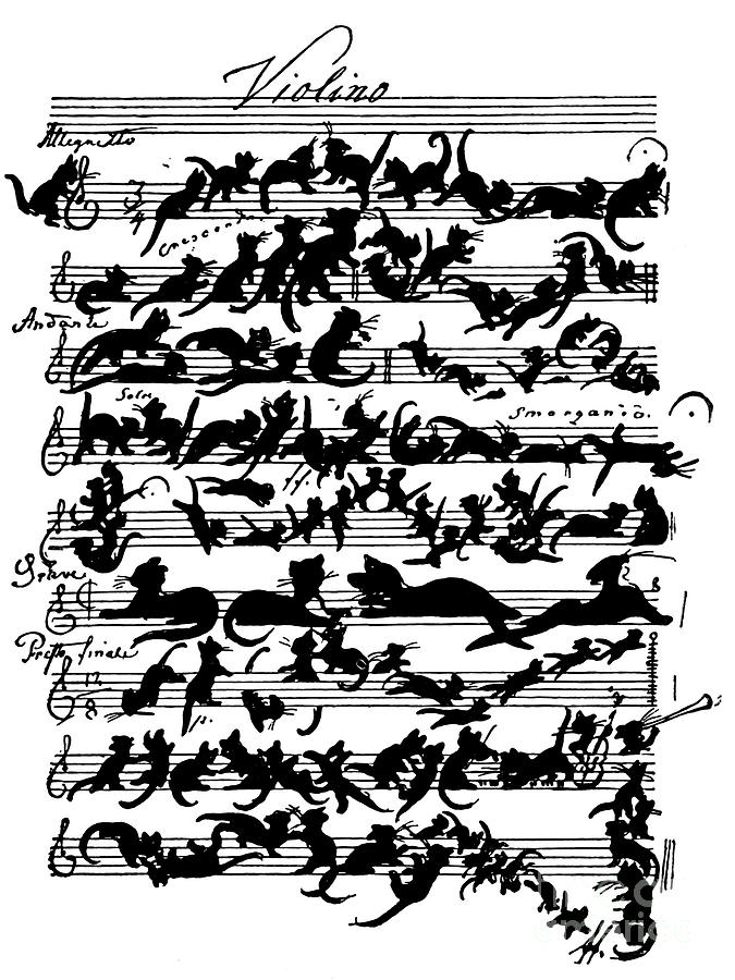 Cat Violin Score Drawing by Moritz von Schwind