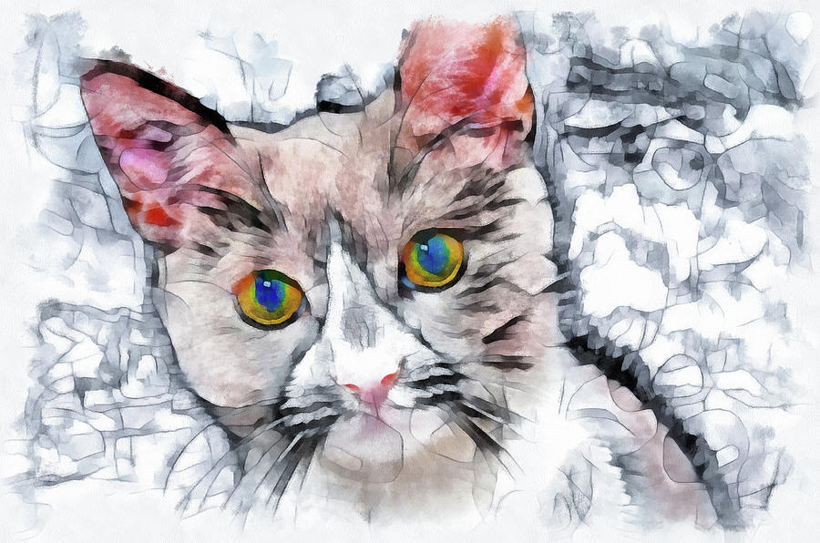 Cat watercolor digital art Painting by Matthias Hauser
