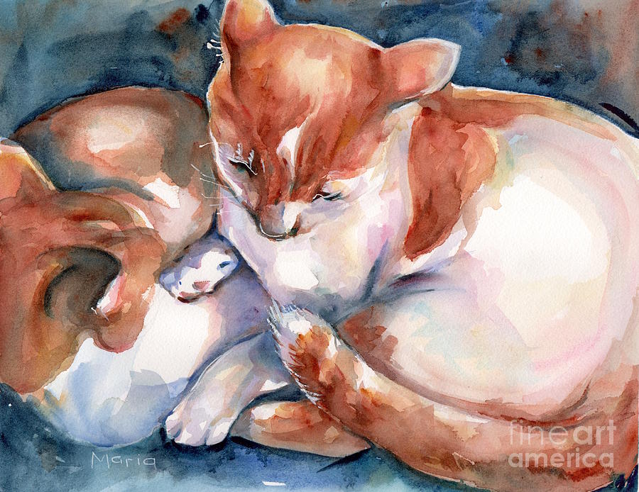 Cat watercolor two yellow and white cats Painting by Maria Reichert
