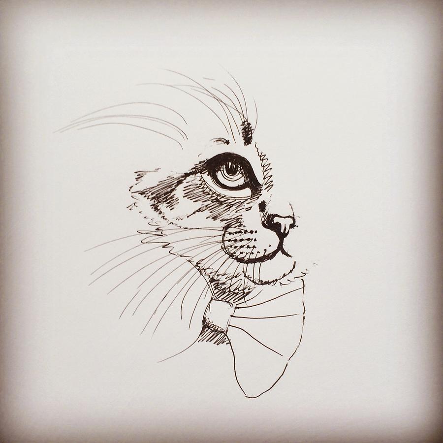 Cat Wearing A Bow Tie Drawing