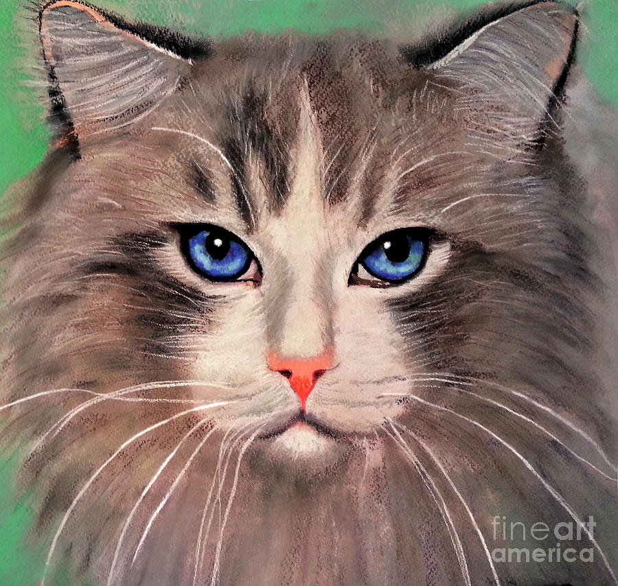 Cat With Blue Eyes Digital Art by Maja Sokolowska