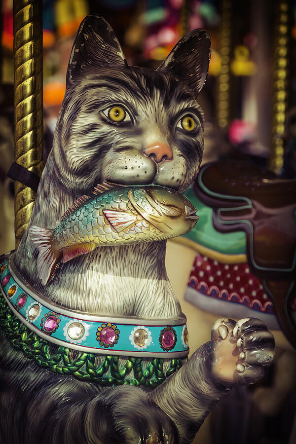 Fantasy Photograph - Cat With Fish Carrousel Ride by Garry Gay