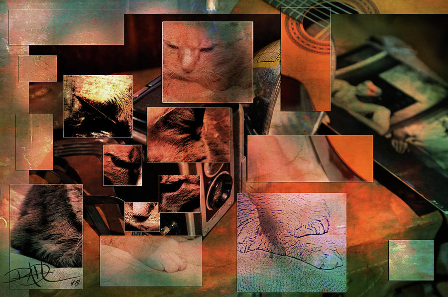 Cat with guitar and camera Digital Art by Ricardo Dominguez