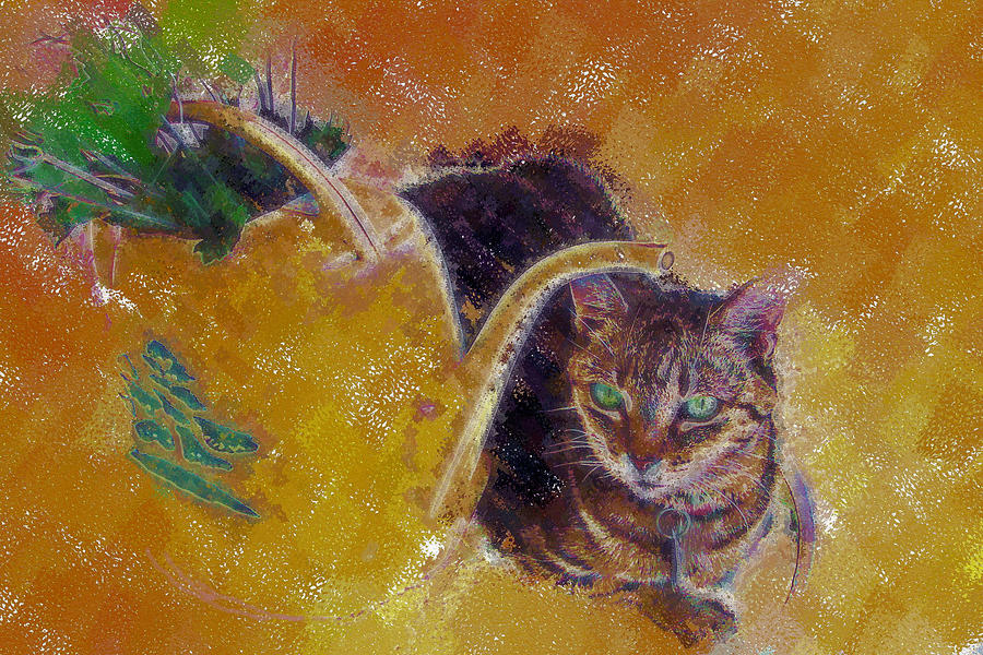 Cat with Watering Can Digital Art by Nora Martinez