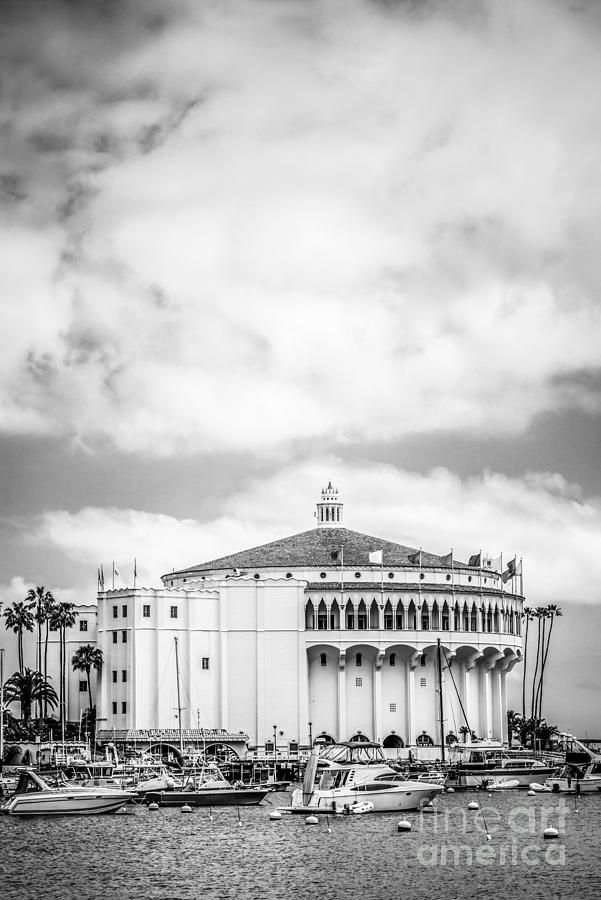 Catalina Casino Black and White Photo Photograph by Paul Velgos