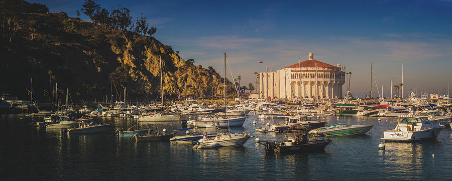 Catalina Casino Panorama Photograph by Andy Konieczny