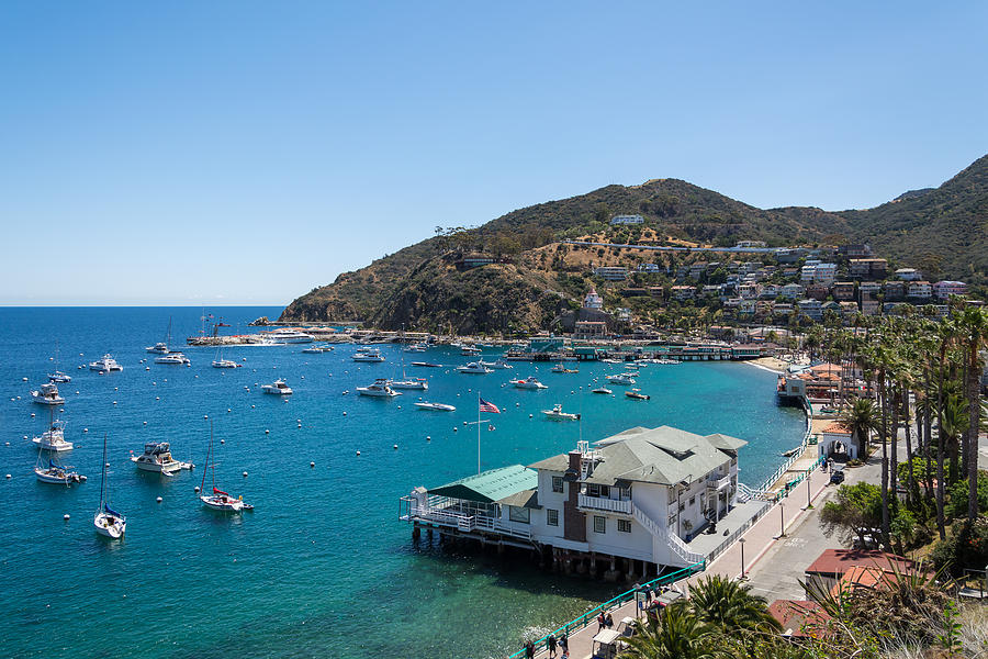 Catalina Island Harbor Photograph by Robert VanDerWal