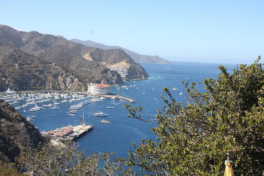 Catalina Harbour 3 Photograph by Kathy Hutchins - Fine Art America