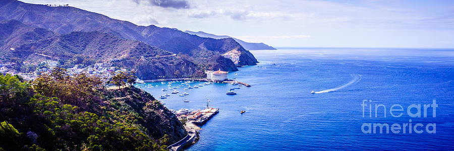 Landscape Photograph - Catalina Island Avalon Bay Aerial Panorama by Paul Velgos