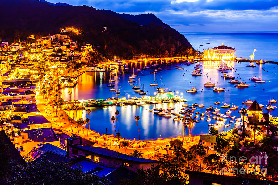 Catalina Island Avalon Bay at Night Photograph by Paul Velgos