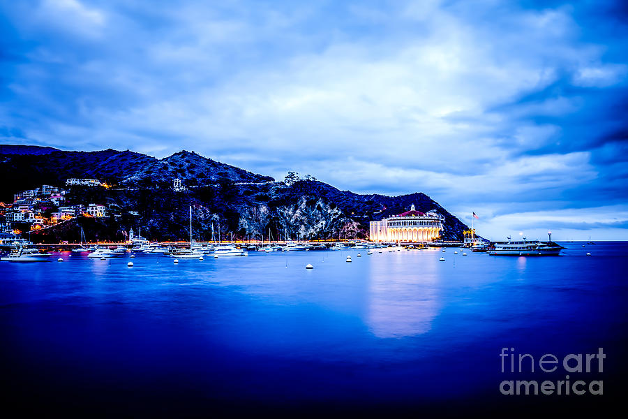 Catalina Island Avalon Bay at Night Picture Photograph by Paul Velgos