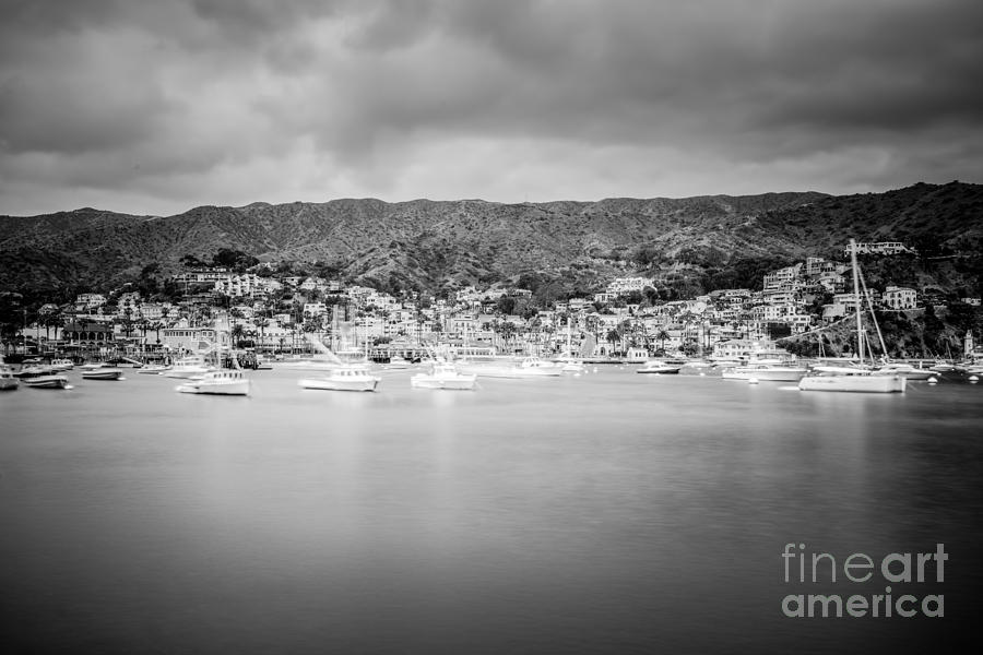 Black And White Photograph - Catalina Island Avalon Bay Black and White Photo by Paul Velgos