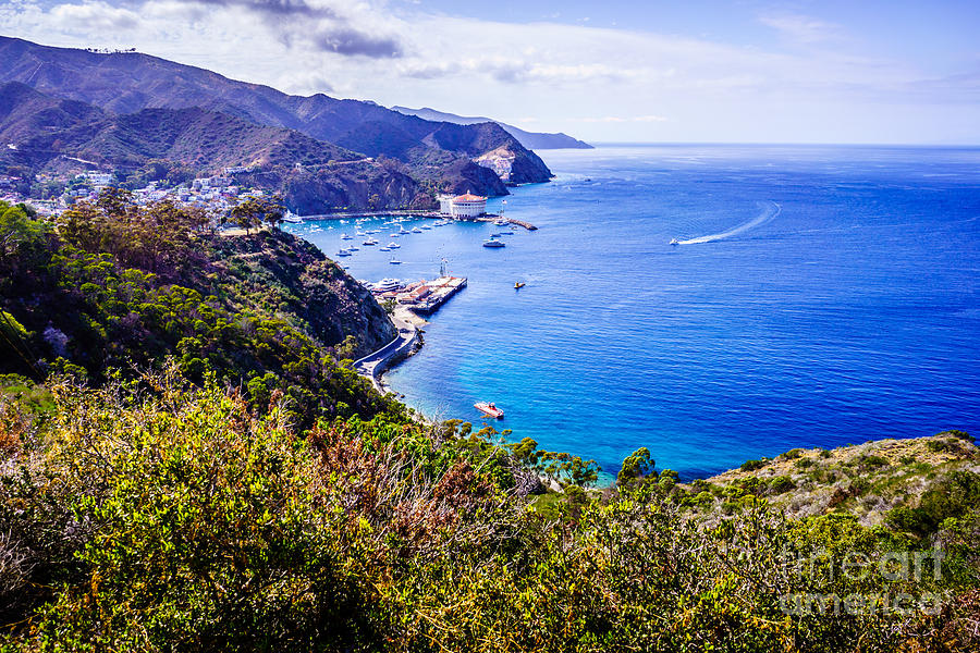 Catalina Island Avalon Bay From Above Photograph