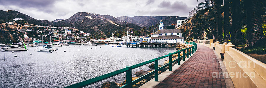 Catalina Island Avalon Bay Panorama Picture Photograph by Paul Velgos