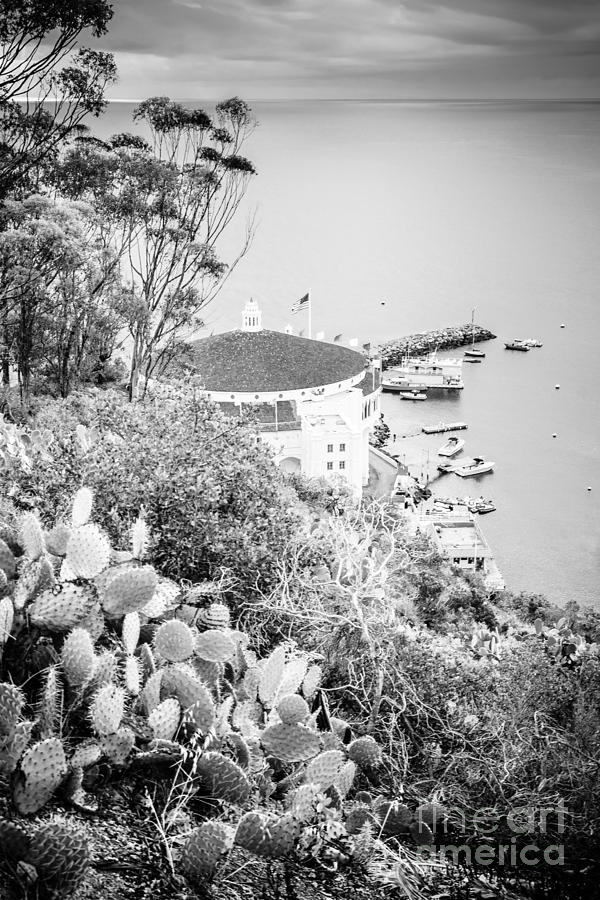 Catalina Island Avalon Casino Black And White Picture Photograph