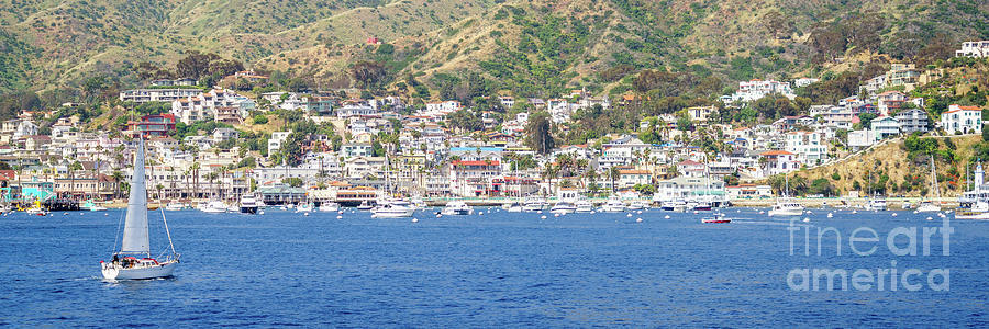 Catalina Island Avalon Harbor City Panorama Photo Photograph by Paul Velgos