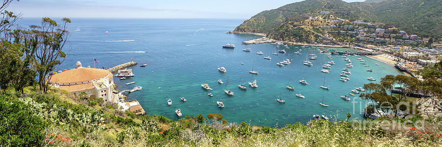 Catalina Island Avalon Harbor Panorama Photo Photograph by Paul Velgos