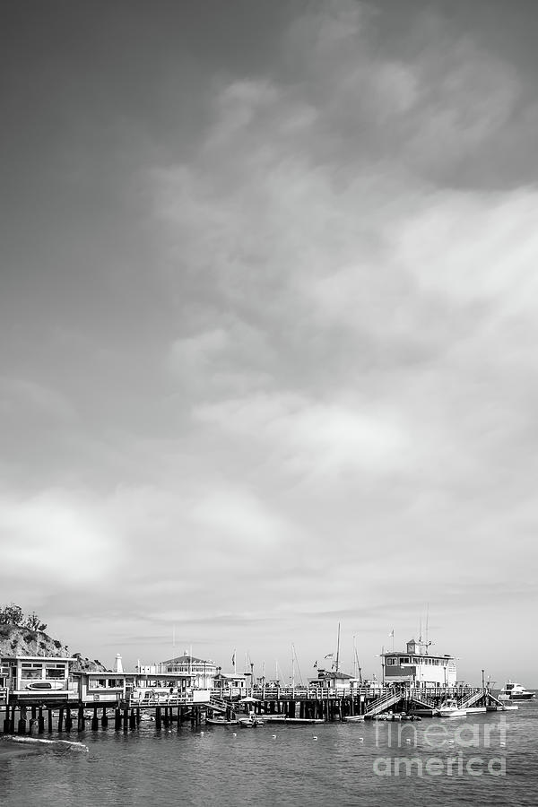 Catalina Island Avalon Pier Black and White Photo Photograph by Paul Velgos
