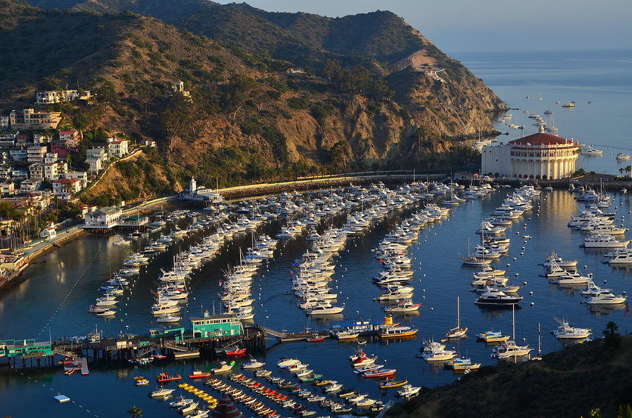 Catalina Island California Photograph by Steve Snyder