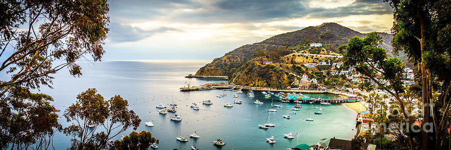 Catalina Island California Sunrise Panorama Photograph