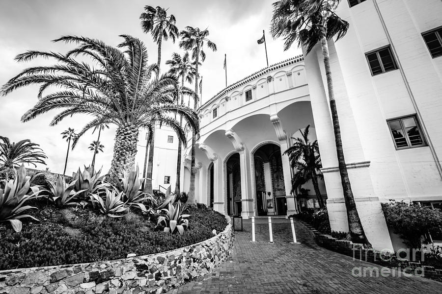 Catalina Island Casino Black and White Photo   Photograph by Paul Velgos